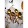 4'lü Ahşap Saplı Ölçü Kaşığı